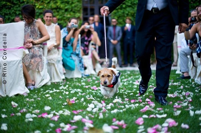 puo celebrare il matrimonio