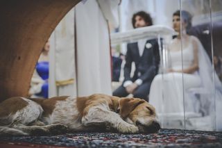 Alessandro D'Elia Wedding Photographer