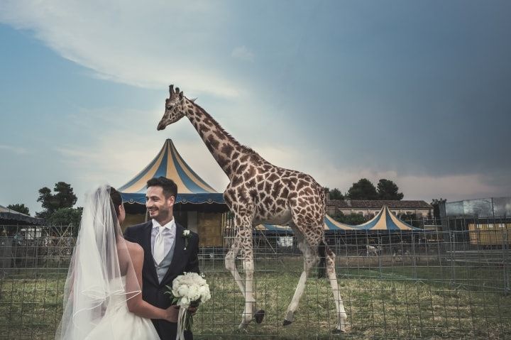 Francesco e Francesca, un matrimonio tra semplicità e sorrisi