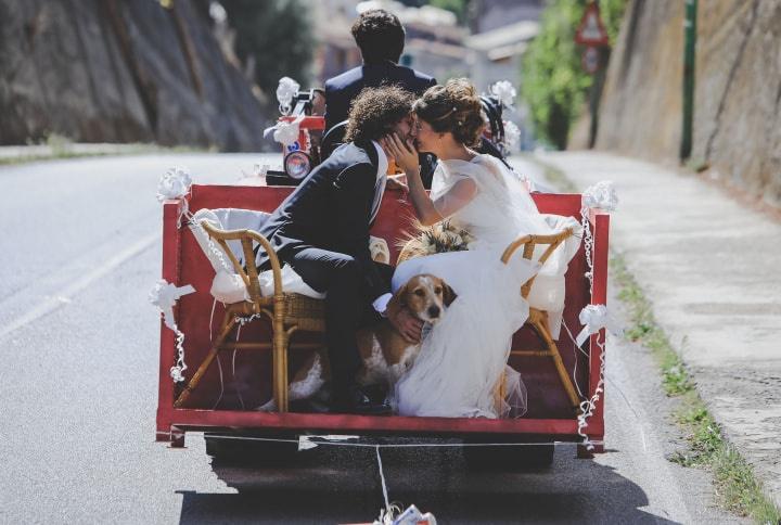 Alessandro D'Elia Wedding Photographer