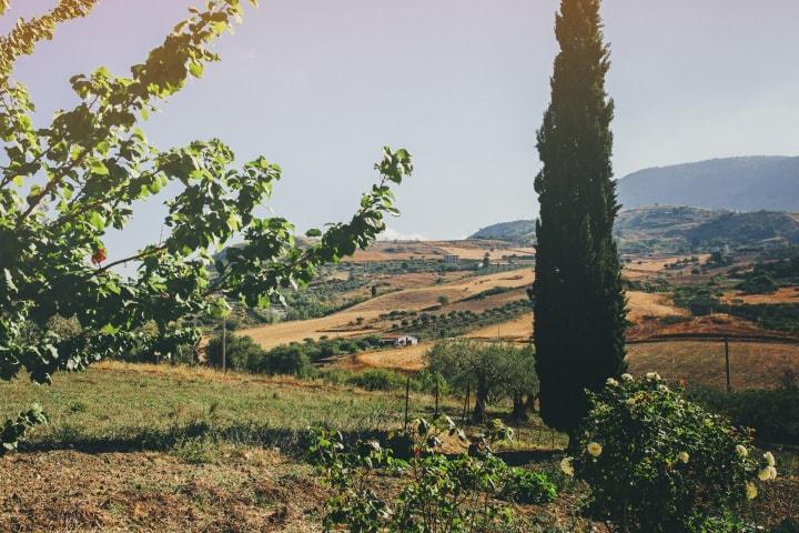 Martina Botti Fotografa