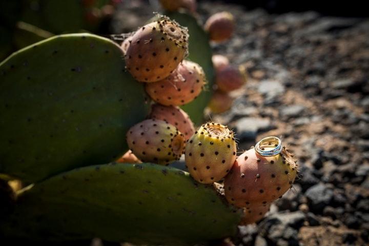 Claudia Calà Photography