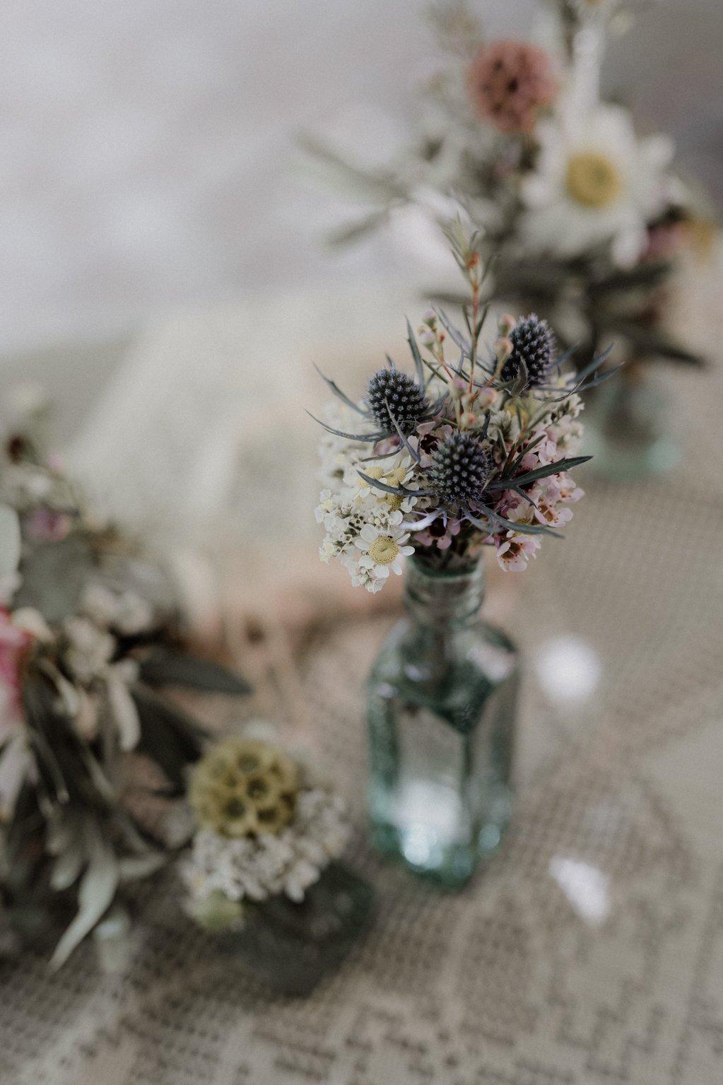 Dandelion Photographic Studio