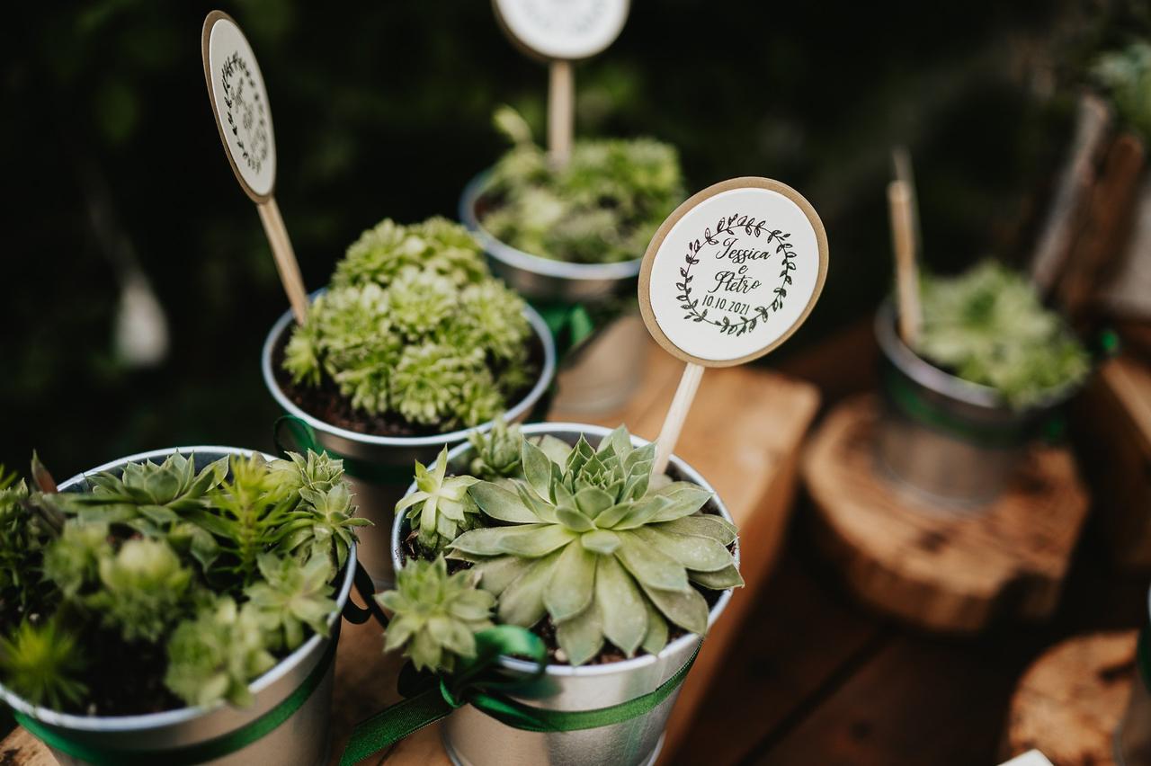 matrimonio tema verde bomboniere