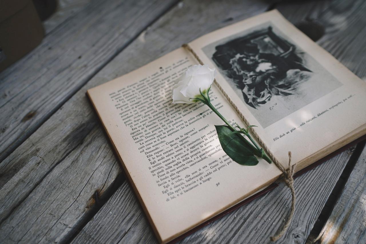 Nando Spiezia Photography