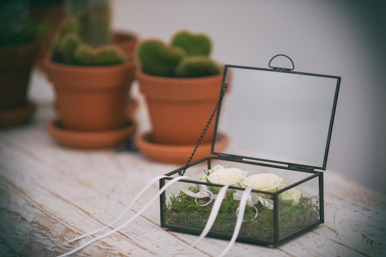 Staralab di Fabrizio Stara & C.