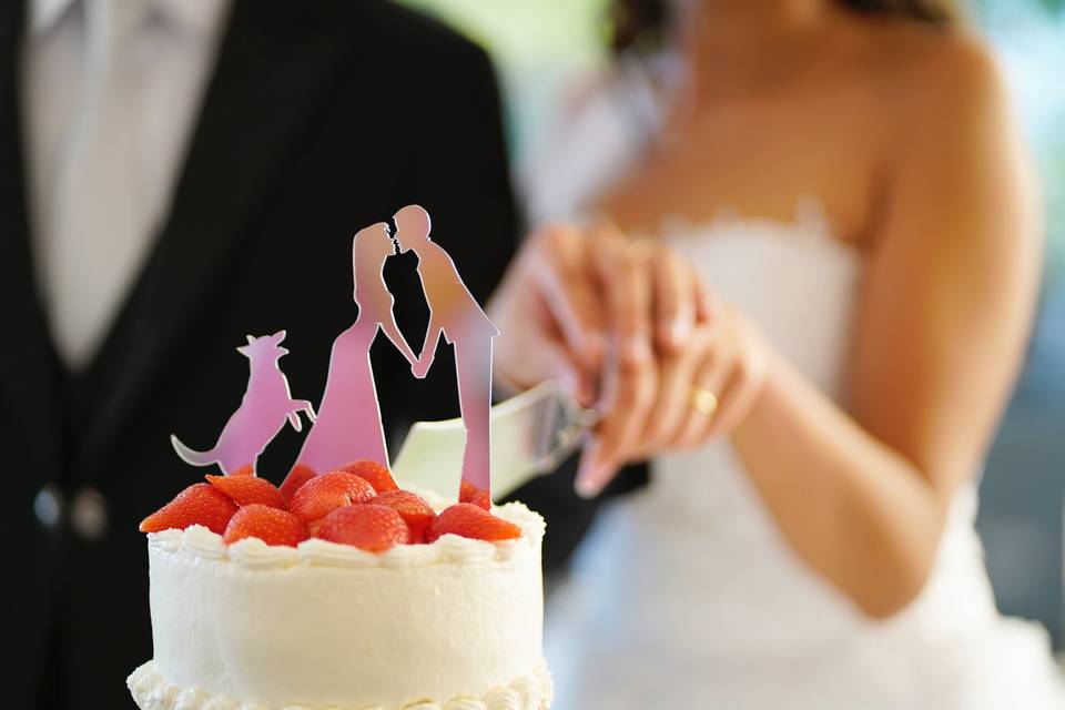 DEKOWEAR® Torta Topper Figurina della torta Mr /& Mrs Bacio Cakes Nozze Decorazione della torta di nozze Acrilico Decorazione della torta Pietre della torta Decorazione della coppia nuziale