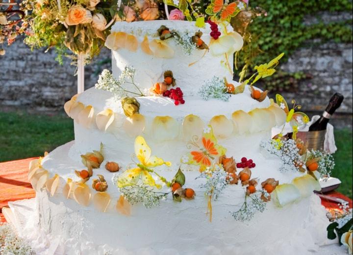 torta tema farfalle