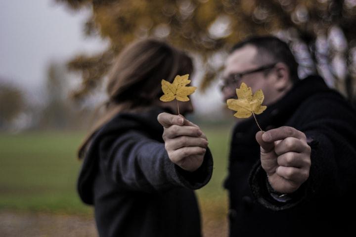 JoyPhotography