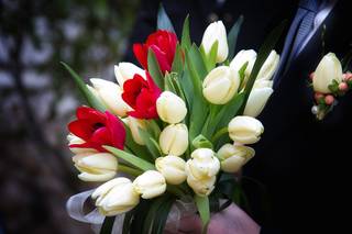 bouquet sposa tulipani bianchi e rossi