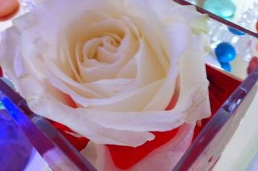 Decorazioni per matrimonio nel Mugello