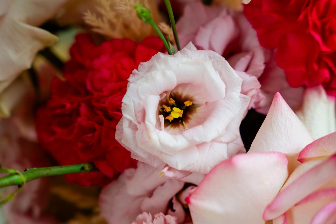 Lisianthus rosa- fiori per matrimonio a giugno