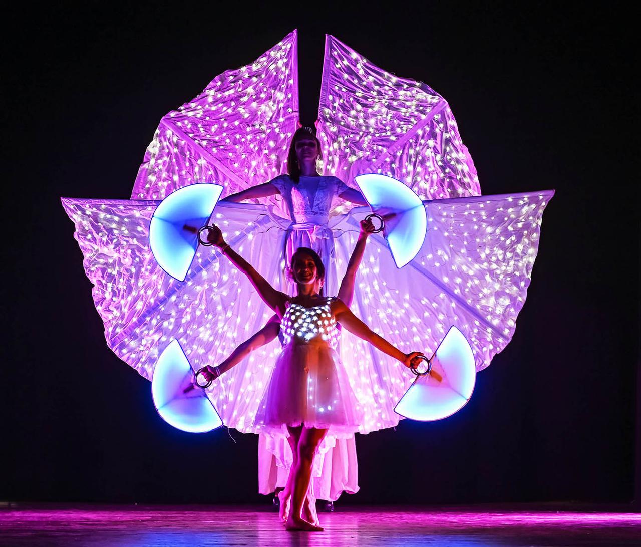 spettacolo farfalle luminose intrattenimento matrimonio