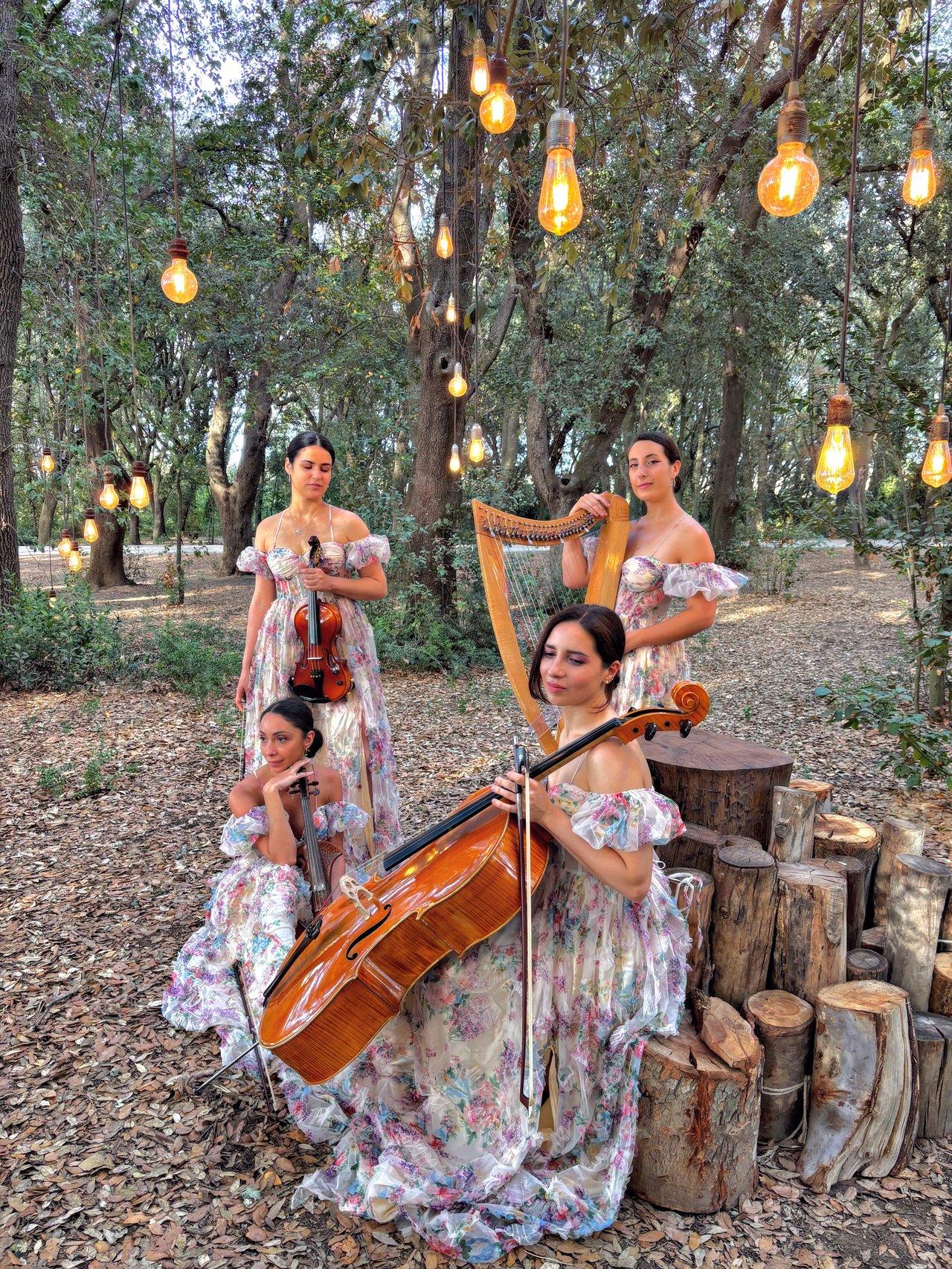 Le Muse Luxury Events