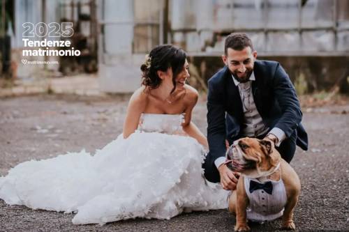 cane al matrimonio