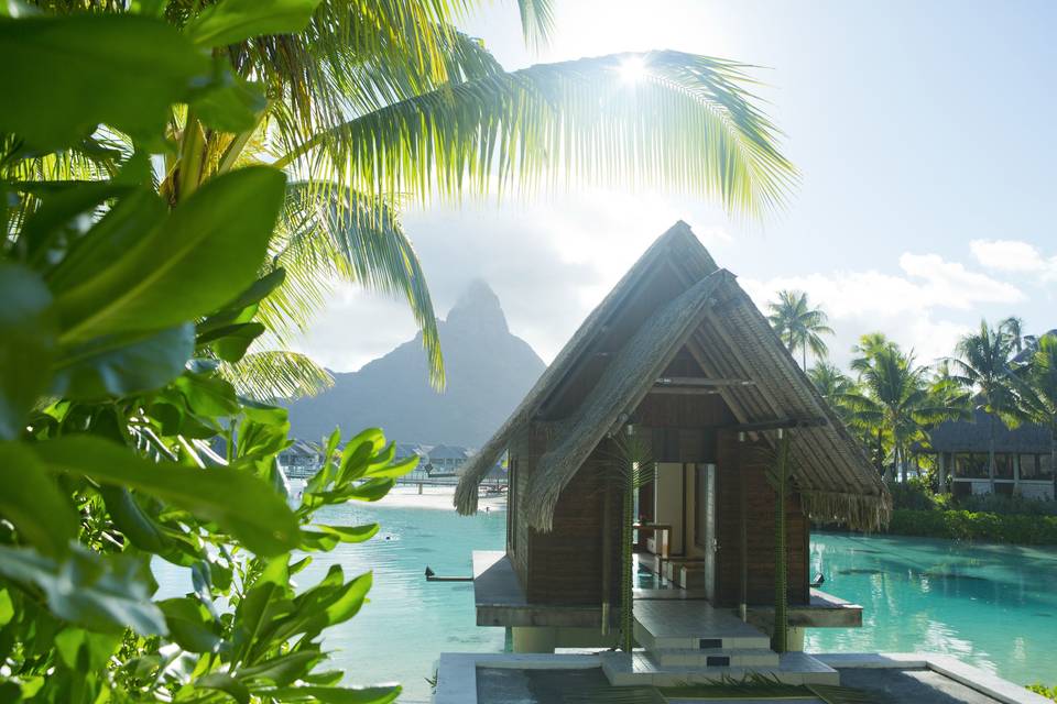 Luna di miele alle Isole di Tahiti: tutto ciò che occorre sapere per un’esperienza indimenticabile!