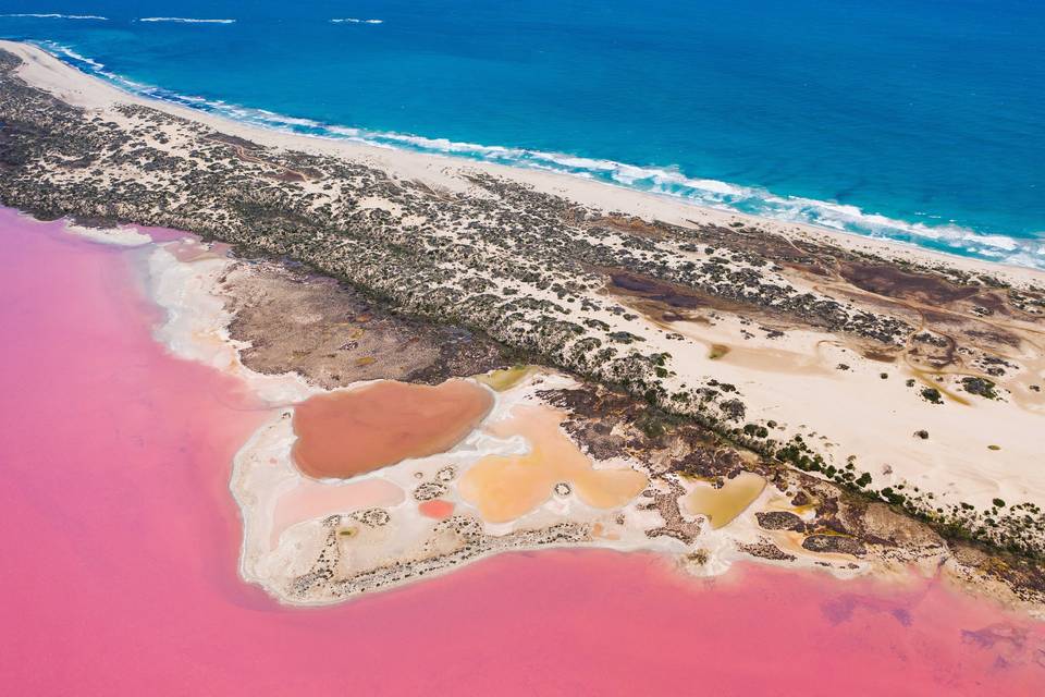 Luna di miele in Western Australia: scoprite un viaggio straordinario sulla Coral Coast!