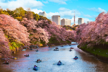 Luna di miele in Giappone: un viaggio da sogno all'insegna della bellezza