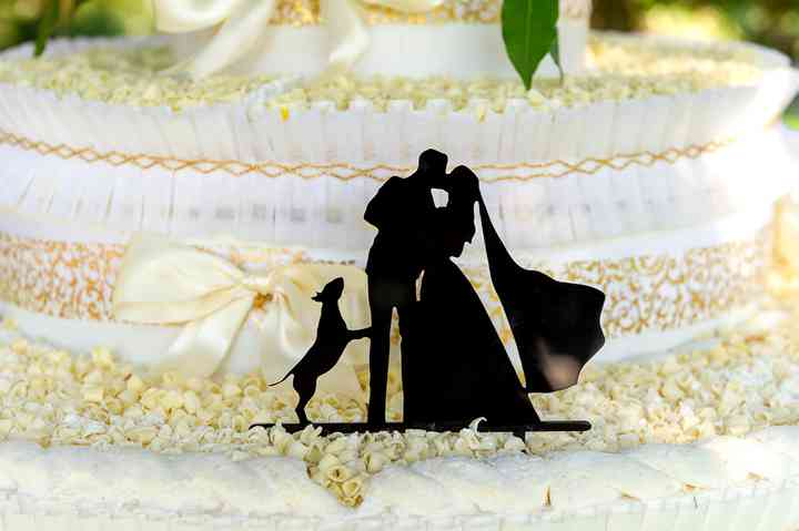 Matrimoni di addio al nubilato TW
