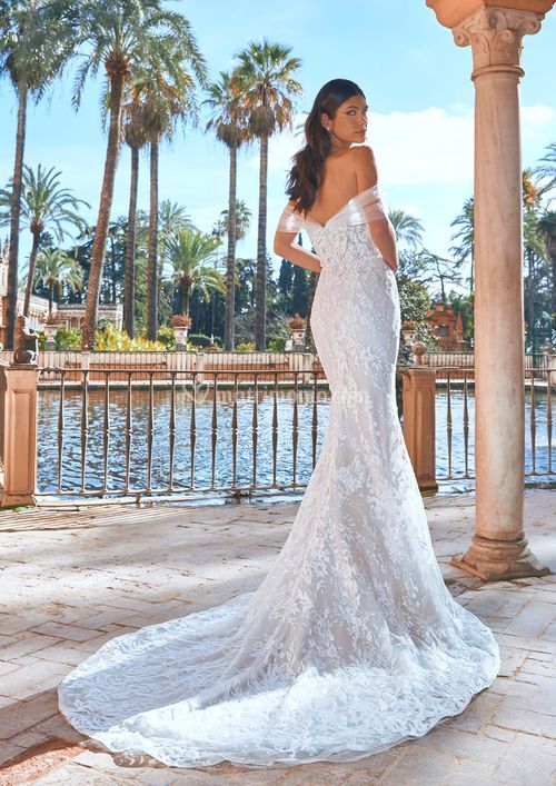 HAVASU, Pronovias