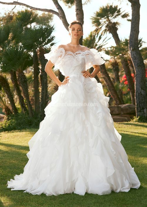 AINE, Pronovias