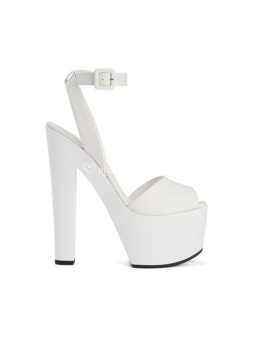 E100060013, Giuseppe Zanotti