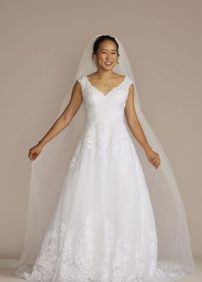 WG3850, David's Bridal