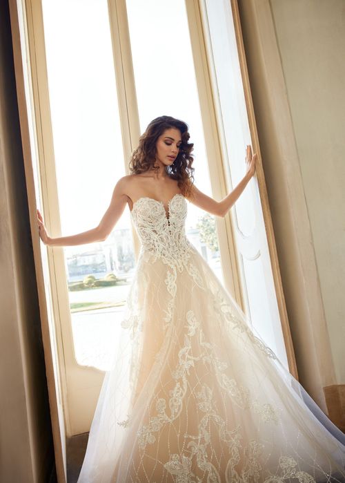 Dixie, Randy Fenoli