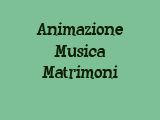 animazione matrimonio violino fisarmonica