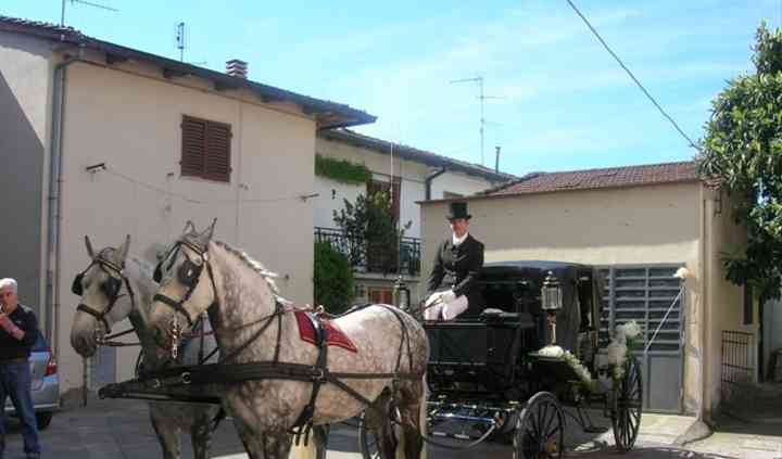 Cavalli e Carrozze