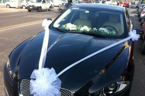 auto noleggio matrimonio firenze