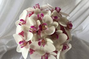 Bertelli Fiori