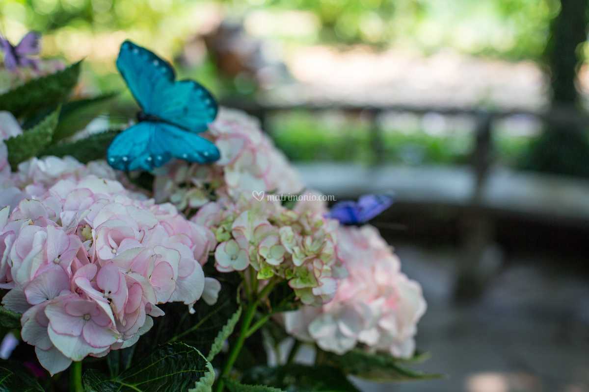 Farfalle e Ortensie di Curly in Love | Foto 4