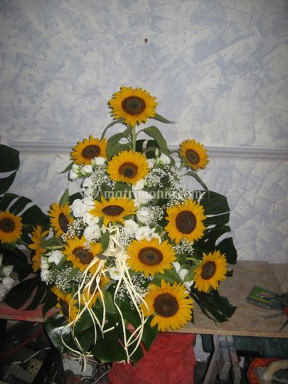 Girasoli E Lisianthus Bianchi Di Il Glicine Foto 142