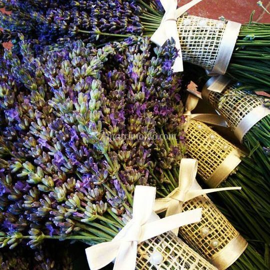 Bomboniere Naturali Con Lavanda