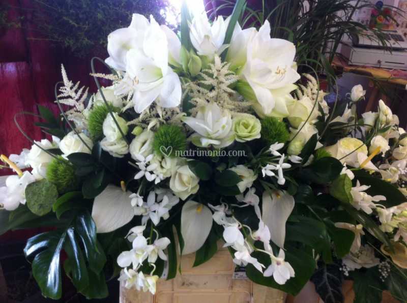 Fiori Bianchi Verbania.Composizione Fiori Bianchi Di Angolo Fiorito Foto 41