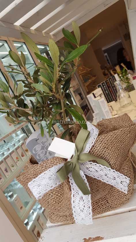 Bomboniere Matrimonio Bari.Bomboniere Vegetali Di Wed By Noemi Weddings Bari Foto 92