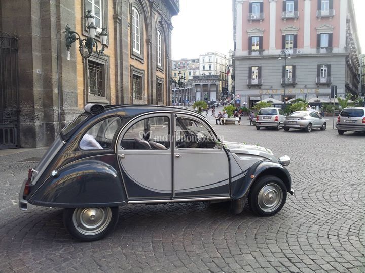Autonoleggio Special Rent Car Amp Charter
