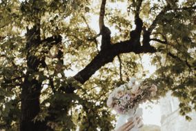 Cosimo Stassano Photographer