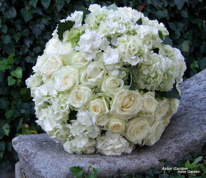 Fiori Bianchi Verbania.Sfera Fiori Bianchi Di Astor Garden Foto 3