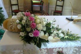 Piante e fiori