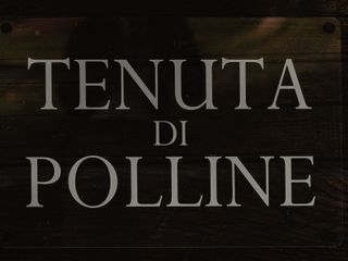 Le nozze di Federica e Daniele 1