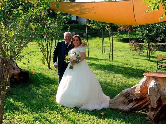 Il matrimonio di Rosario e Rosy a Peschiera del Garda, Verona 21