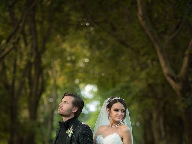 Il matrimonio di Nicola  e Tania a Porto Mantovano, Mantova 27