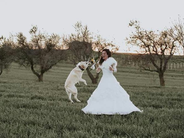 Il matrimonio di Riccardo e Maria a Genzano di Lucania, Potenza 1