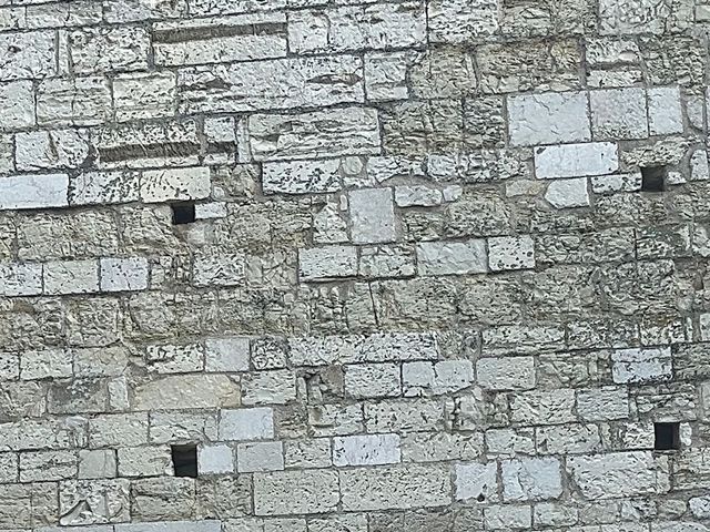 Il matrimonio di Michele  e Renata  a Montichiari, Brescia 1