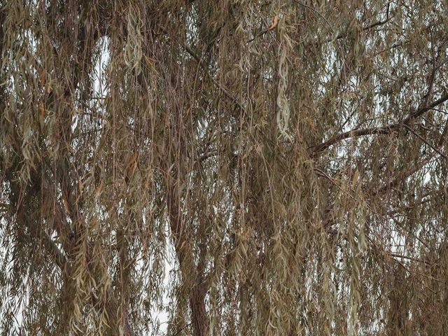Il matrimonio di Gabriele e Elisa a Lido di Ostia, Roma 90