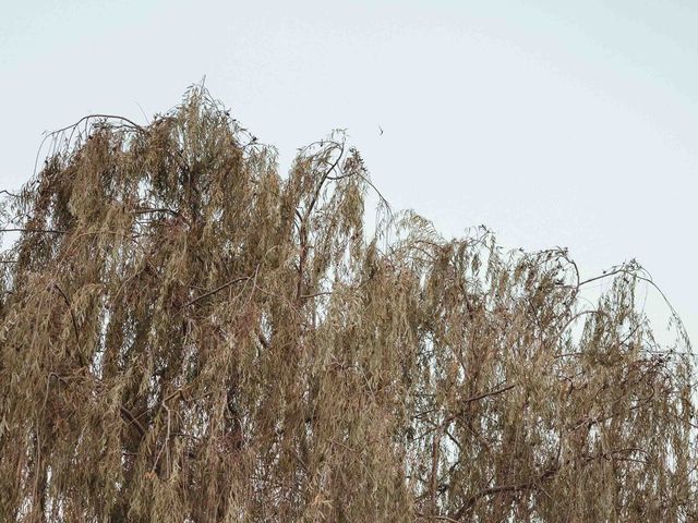 Il matrimonio di Gabriele e Elisa a Lido di Ostia, Roma 91
