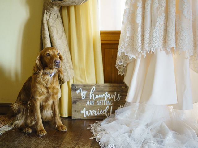 Il matrimonio di Alessio e Chiara a Grottaferrata, Roma 10