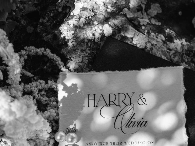 Il matrimonio di Olivia e Harry a Partinico, Palermo 4